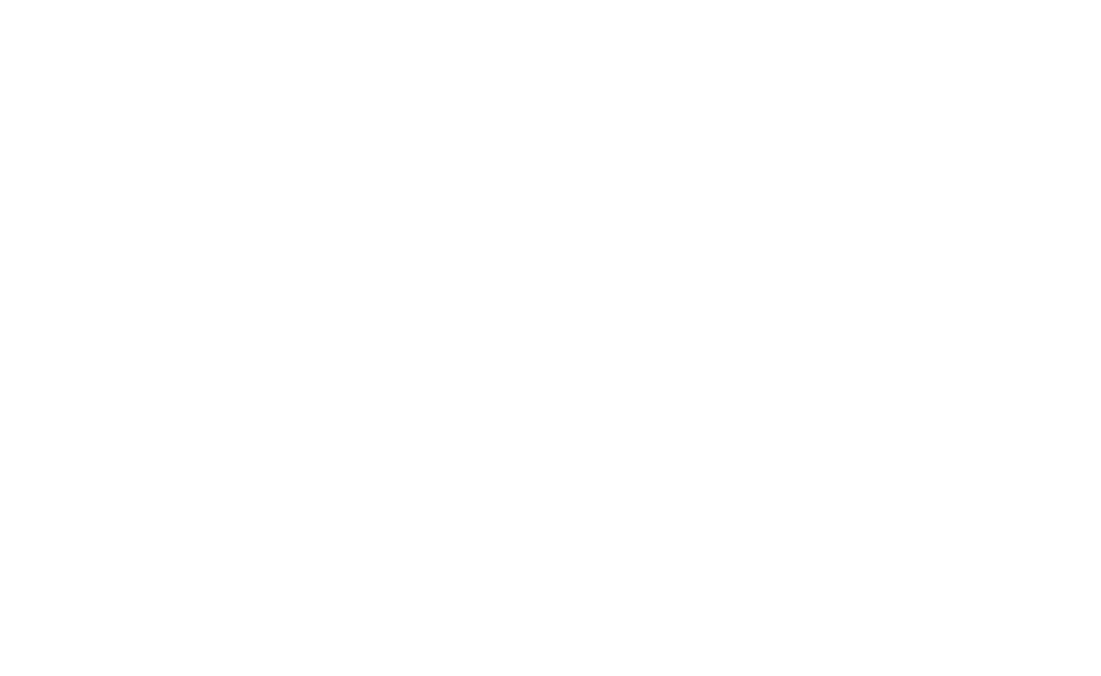 Ter Veer Stucadoors